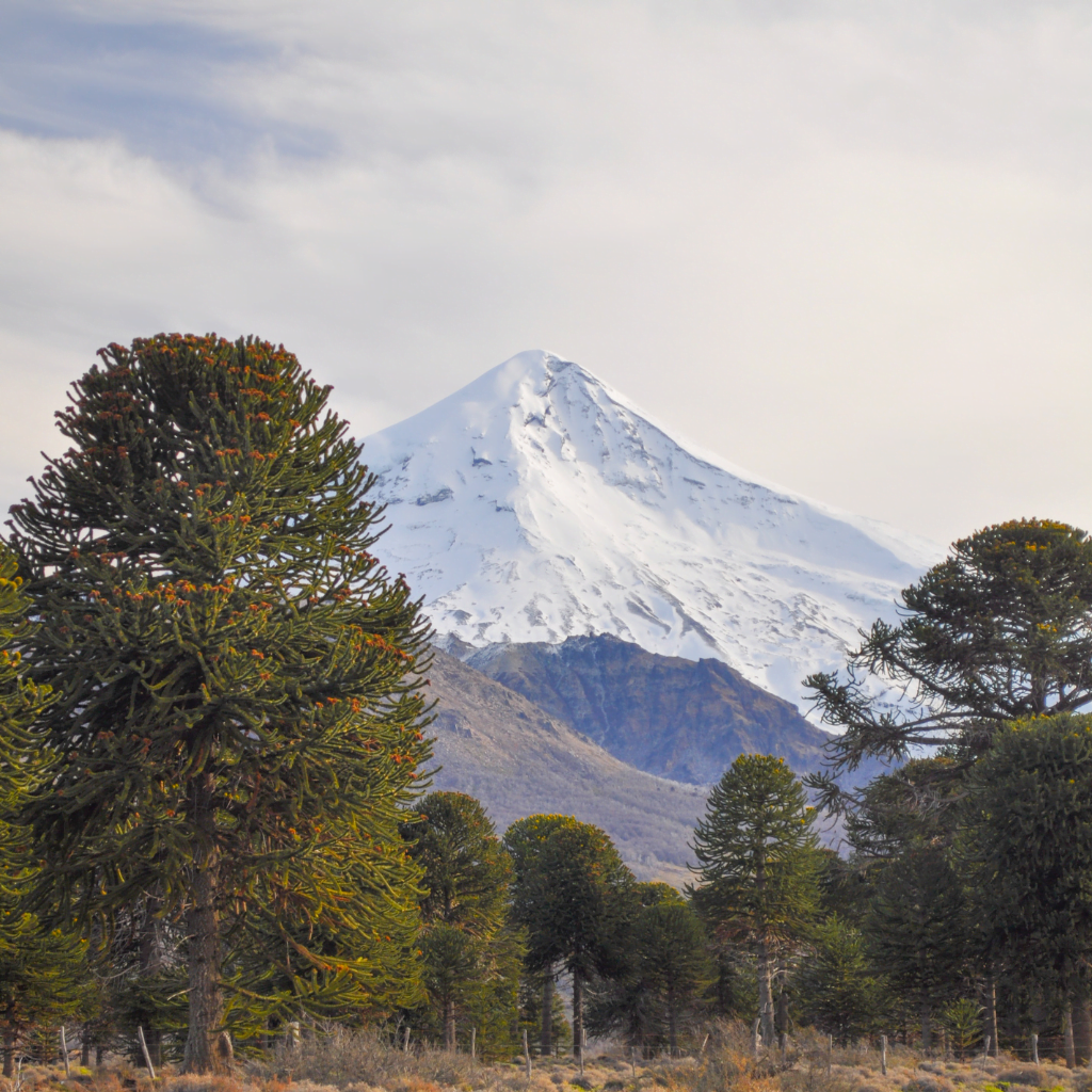 Villarrica Traverse | Volcan Lanin